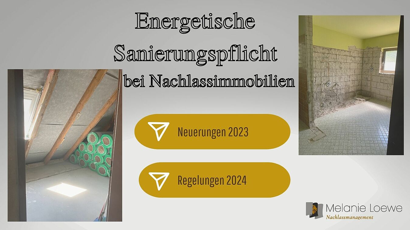 Testamentsvolltsreckung_Loewe_Immobilie_Sanierungspflicht